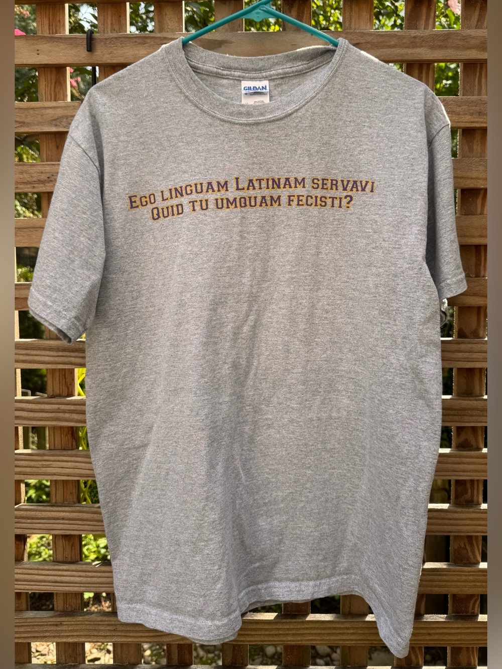 Funny Heather Grey Latin Quote Graphic T-Shirt - Mens Size M